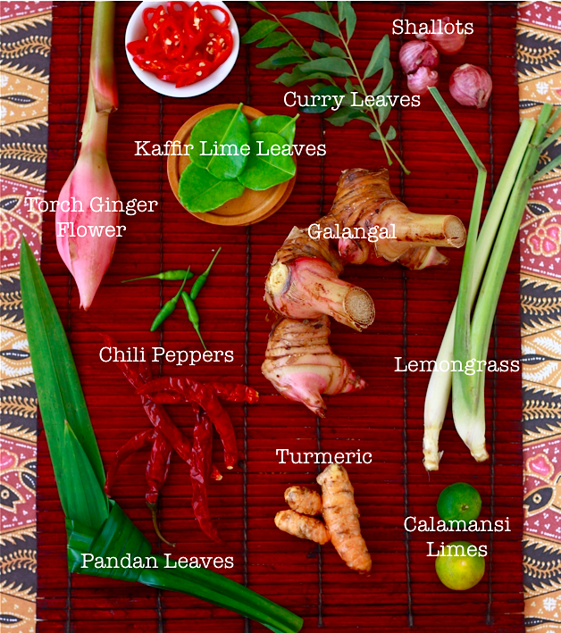 Herbs and Spices that mostly use in the Philippines